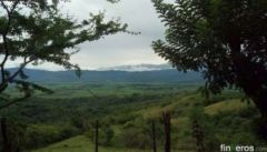 LA SIERRA - Finca en Guacari, Valle del Cauca
